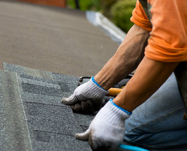 Best Metal Roofing Contractor  in De Pere, WI